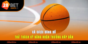 cá cược bóng rổ