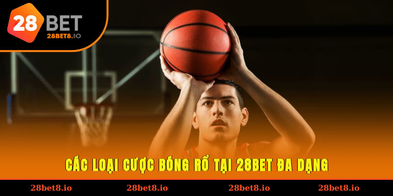 Cá Cược Bóng Rổ - Thử Thách Kỹ Năng, Nhận Thưởng Hấp Dẫn 3 Các loại cược bóng rổ tại nhà cái đa dạng